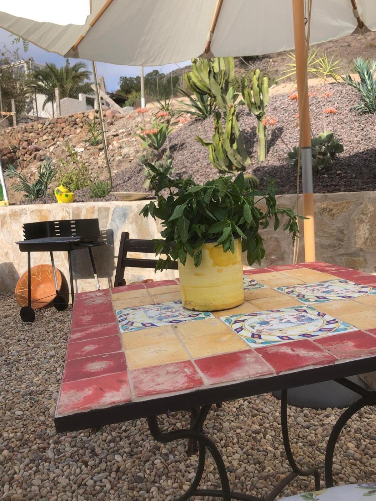 Casa Tartaruga Holiday home El Pozo de los Frailes